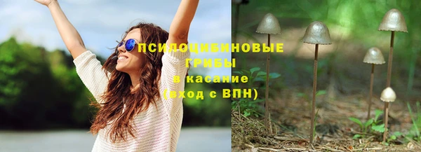 крисы Алексеевка