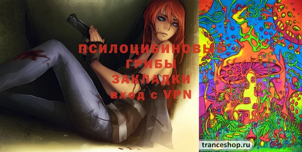 крисы Алексеевка