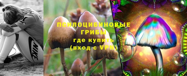 крисы Алексеевка