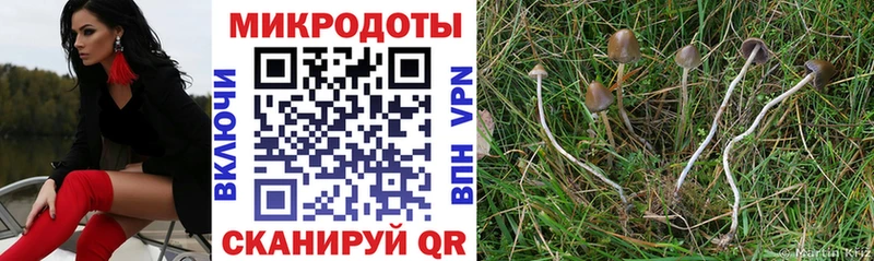 Галлюциногенные грибы MAGIC MUSHROOMS  Кола 
